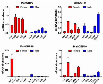 Functional Analysis of Two Odorant-Binding Proteins, MaltOBP9 and MaltOBP10, in Monochamus alternatus Hope